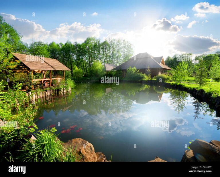 mokki jarven rannalla aurinkoisena paivana