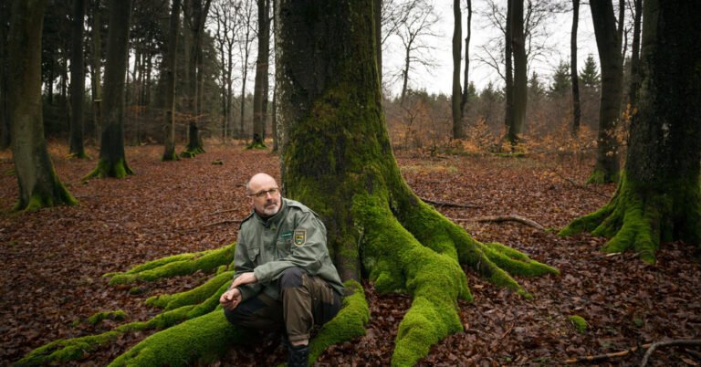 vanhoja ja nuoria metsanomistajia keskustelemassa metsassa